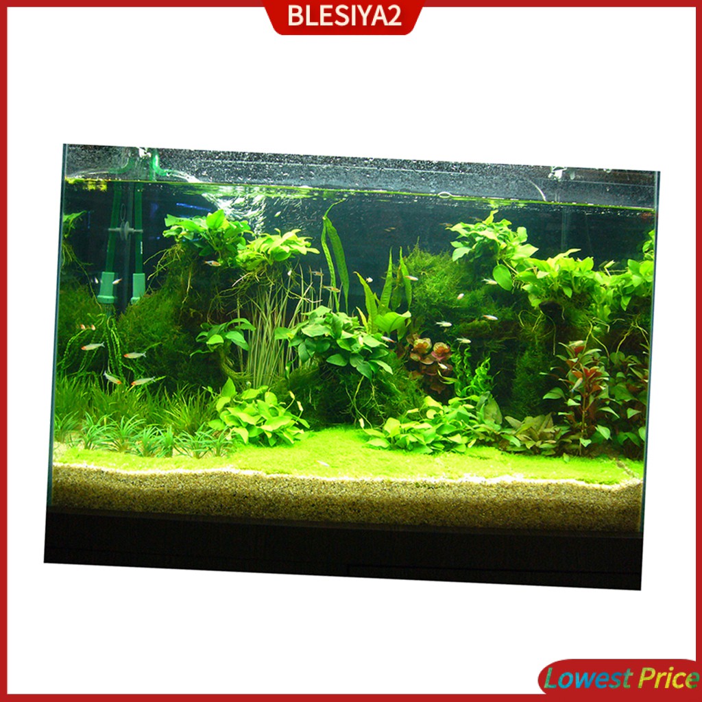 [Blesiya2] Phông Nền Bể Cá 3D Tĩnh Điện 61x30cm