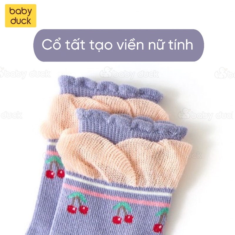 Combo 5 đôi tất/vớ bé gái cao cấp Minliu socks mẫu mới nhất, tất/vớ trẻ em