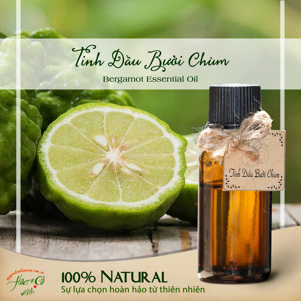 Tinh Dầu Bưởi Chùm Hữu Cơ ( Organic Bergamot Essential Oil )