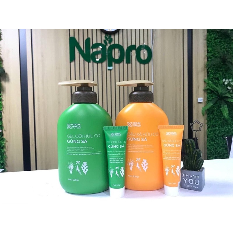 Gel Gội Xả hữu cơ Gừng Xả hữu cơ Cocayhoala 1000ml