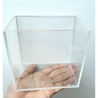 hồ show cá cảnh