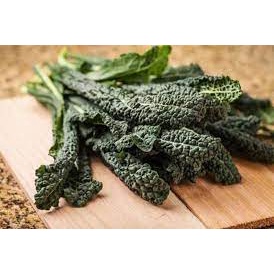 Hạt giống Cải Xoăn Kale Laci Ý gói 100 hạt ( kale khủng long)