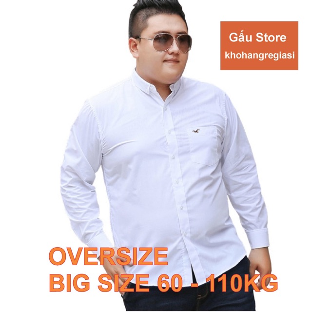 Áo sơ mi nam GẤU 194 cổ thuyền tay dài vải lụa mềm mại, ít nhăn - chuẩn form regular fit sang trọng - Hollister BigSize | BigBuy360 - bigbuy360.vn