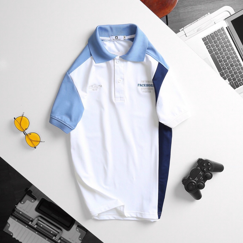 Áo phông nam có cổ cao cấp phối màu cực đẹp form rộng Pegasus JUD062AV - áo polo nam ngắn tay JULIDO