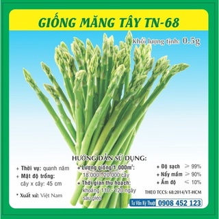 Hạt giống Măng tây