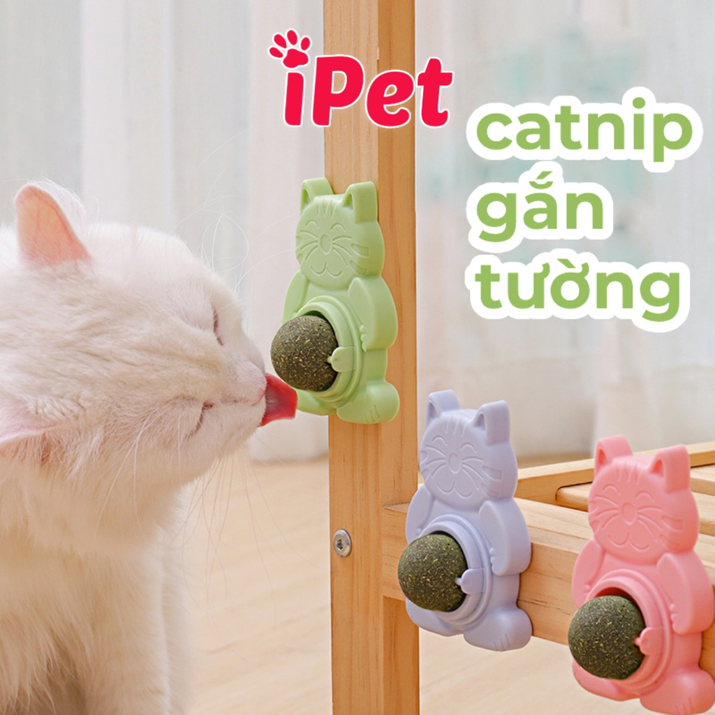 Viên Cỏ CATNIP Gắn Tường Hỗ Trợ Giảm Stress Giúp Mèo Tiêu Búi Lông Hình Đa Dạng - iPet Shop