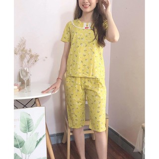 3 màu ảnh thật - đồ bộ mặc nhà ( ảnh thật)