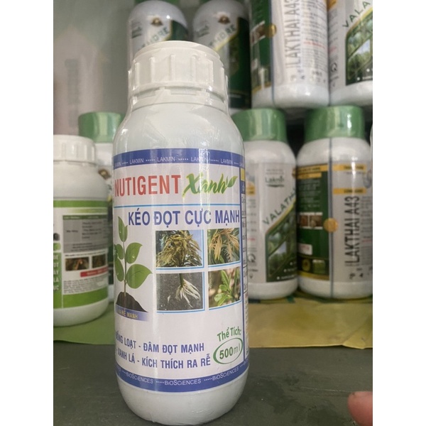 NUTIGENT XANH KÉO ĐỌT CỰC MẠNH KÉO ĐỌT ĐỒNG LOẠT - ĐÂM ĐỌT MẠNH MẬP ĐỌT - XANH LÁ - KÍCH THÍCH RA RỄ