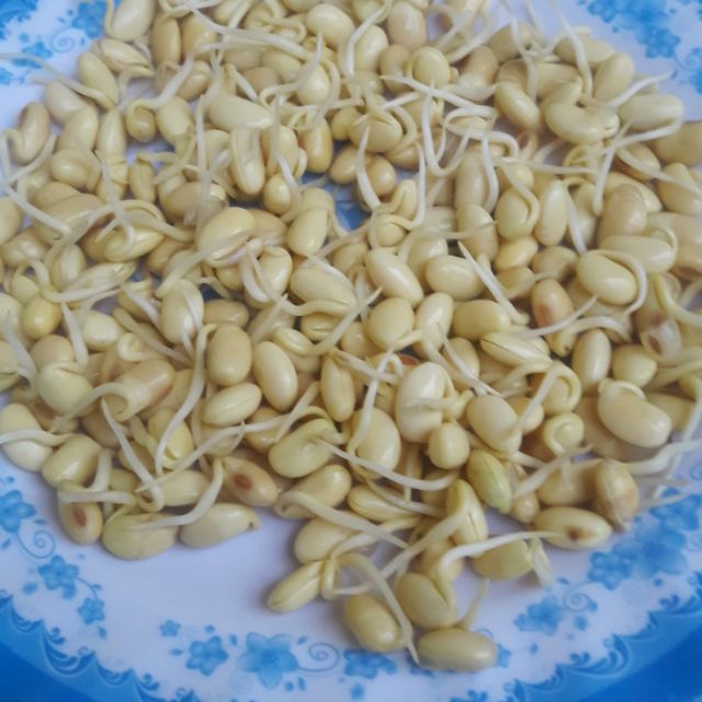 Bột mầm đậu nành