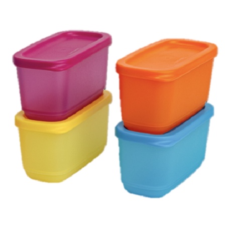 Bộ hộp Tupperware Mini Rectangular 250ml (4 hộp) - Hàng chính hãng - Bảo hành trọn đời - Nhựa nguyên sinh, an toàn