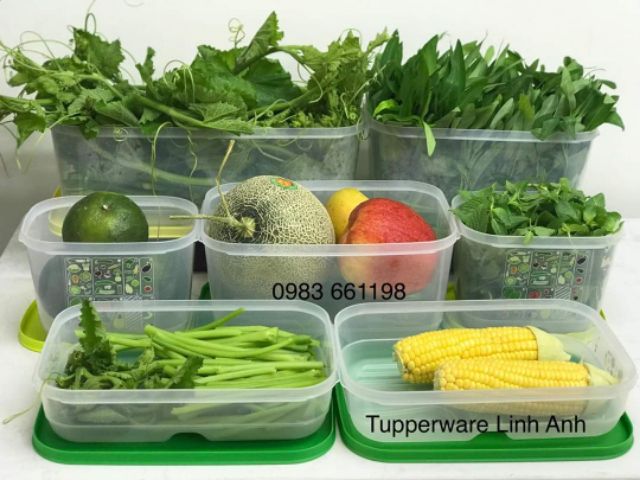 Tupperware - Bán lẻ hộp trữ mát vensmart đủ size 1.8l - 4.4l - 6.1l