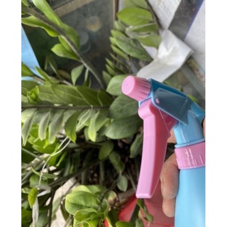 Bình xịt tưới cây Bình xịt đa năng 0,5 lít