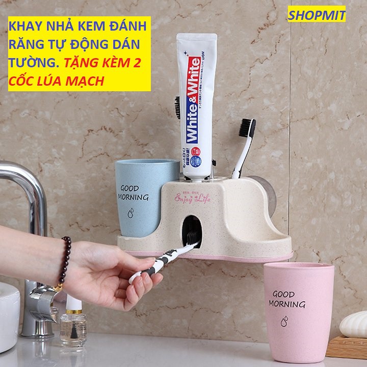 Khay nhả kem đánh răng tự động lúa mạch dán tường nhỏ gọn, an toàn cho sức khỏe gia đình