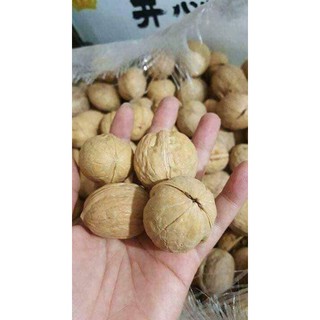 QUẢ ÓC CHÓ  1KG.