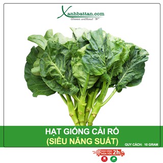 Hạt Giống Cải Rổ Phú Nông Gói 10 Gram