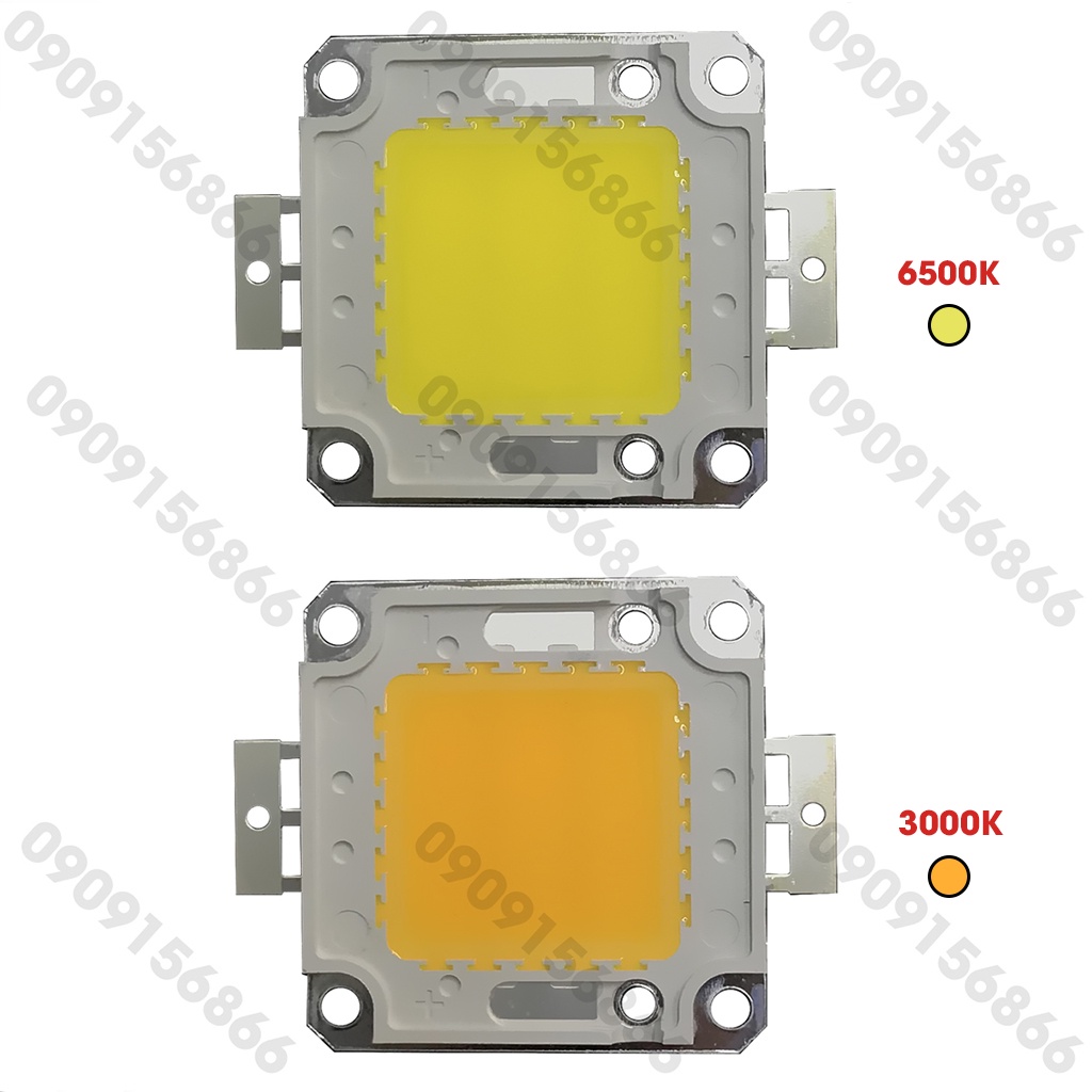 Nhân led cob 36v 50w