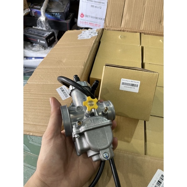 Bình Bông mai thailand 28mm Hàng chất lượng