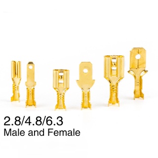 Set 100 Đầu Nối Dây Điện 2.8 / 4.8 / 6.3mm