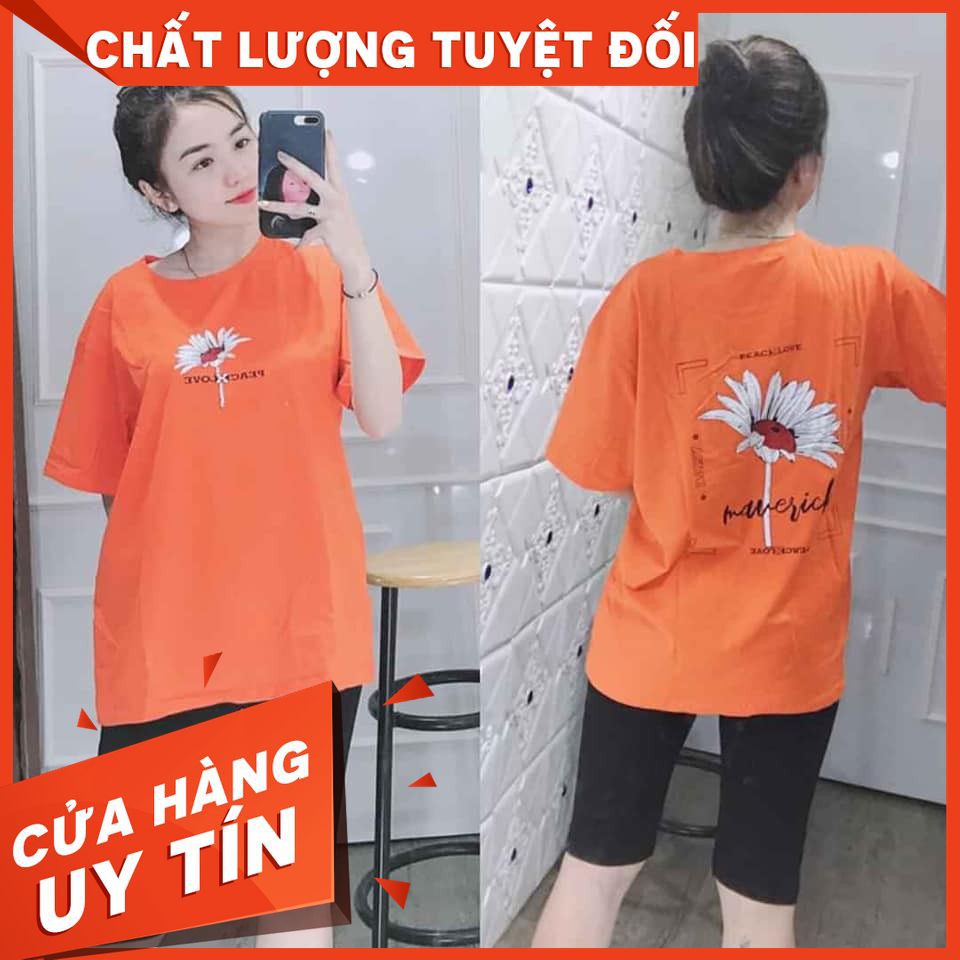 [FREESHIP] Set Đồ Bộ Cotton Lửng Nữ - In Hoa Cúc - Sản Phẩm Y Hình