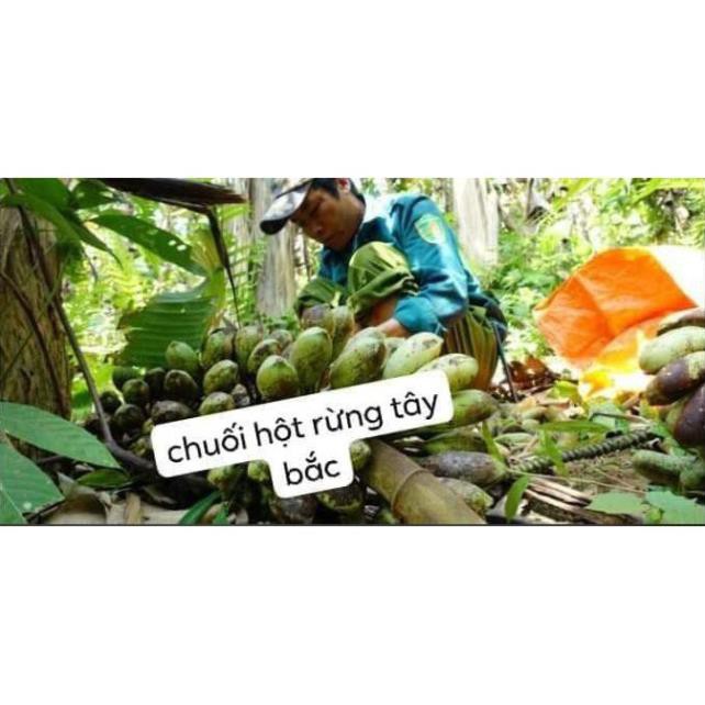 💥HẠT CHUỐI HỘT RỪNG (gói 1.000gr ) | BigBuy360 - bigbuy360.vn