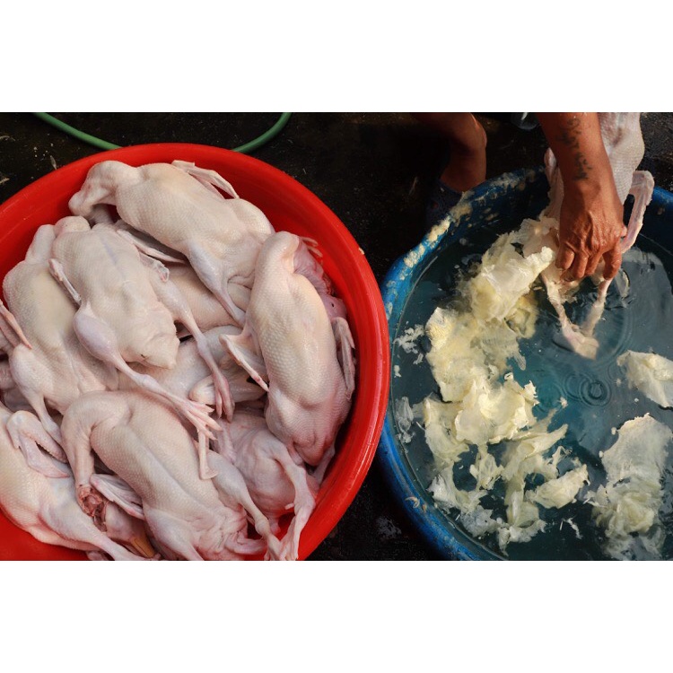 Sáp vặt lông vịt sáp làm lông măng máy vặt lông vịt