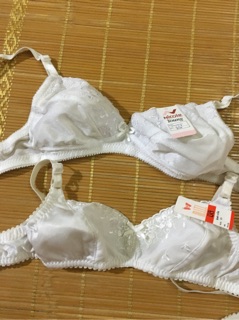 Combo 2 áo lót học sinh hàng Thái Lan