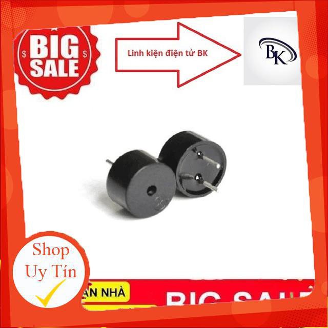 Combo 2 Còi Chíp 5V