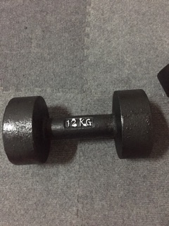 Bộ 1 tạ tay 12kg