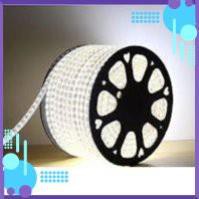 Led dây 5050 Đèn LED dây 5050 đơn sắc Trắng, Vàng, Xanh dương, Xanh lá, Đỏ, Nhiều màu