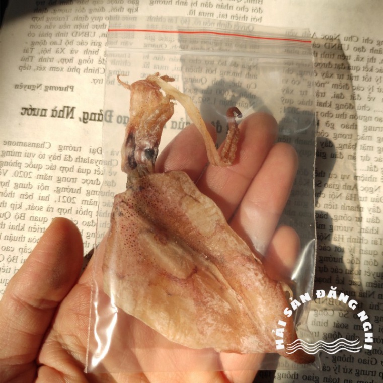 Mực Khô Mini Đảm Bảo Chuẩn Ngọt Và Dày Cơm - khoảng 180-200 con/kg - Lẻ 1 con | BigBuy360 - bigbuy360.vn