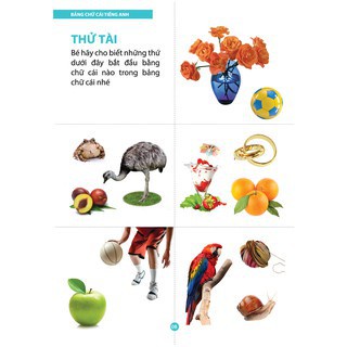 Sách - Từ điển Tiếng Anh bằng hình ( hơn 1000 từ vựng tiếng Anh và trên 1500 hình ảnh minh họa)