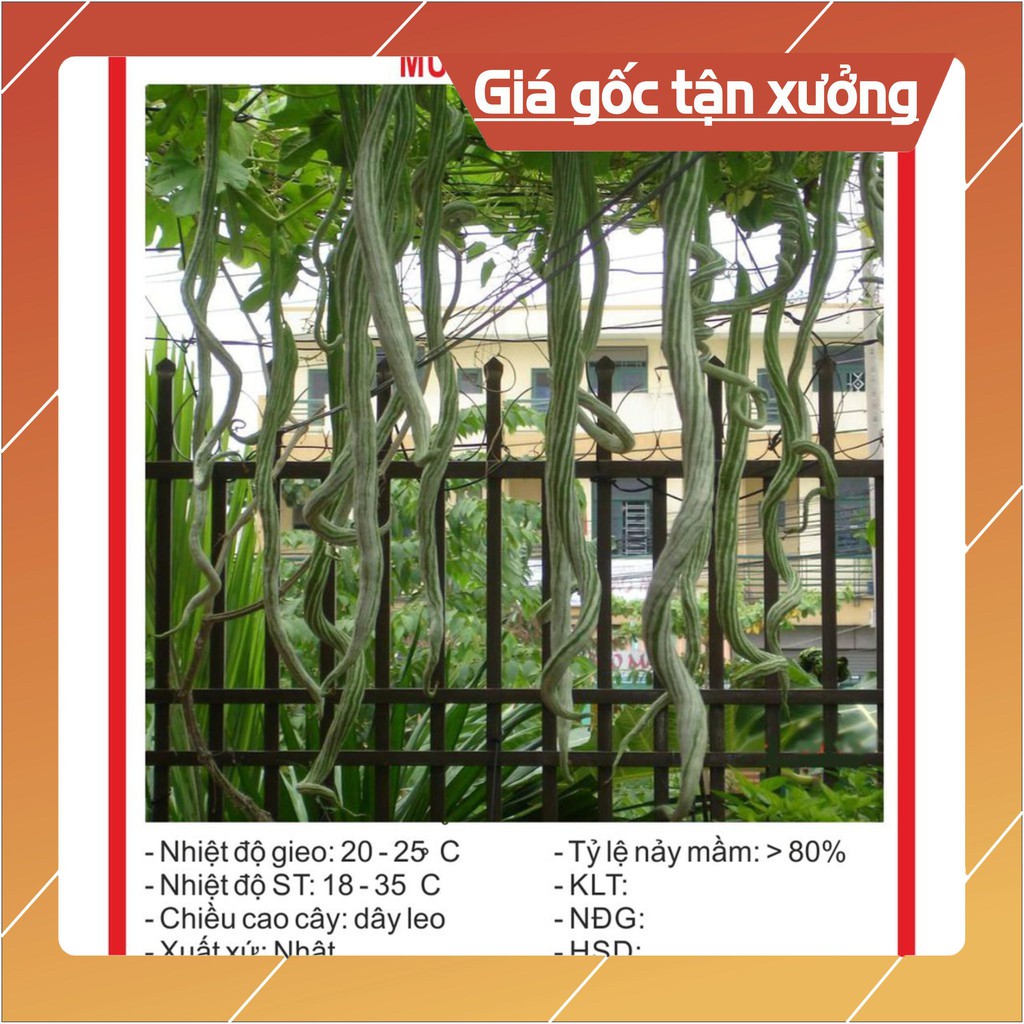 Hạt Giống Mướp Rắn 5 Hạt Hạt giống