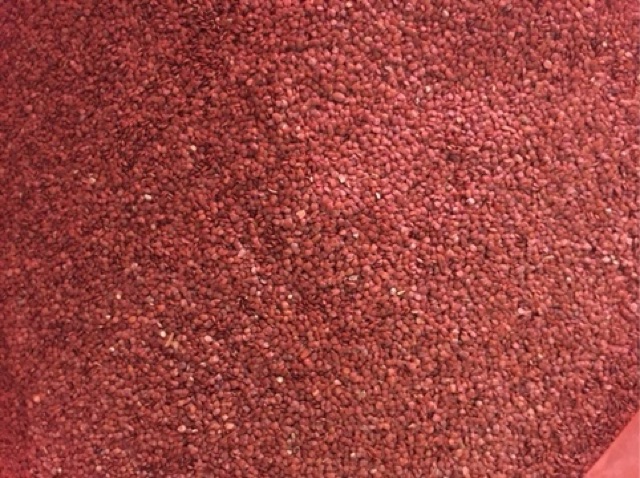 Hạt đình lịch  100g