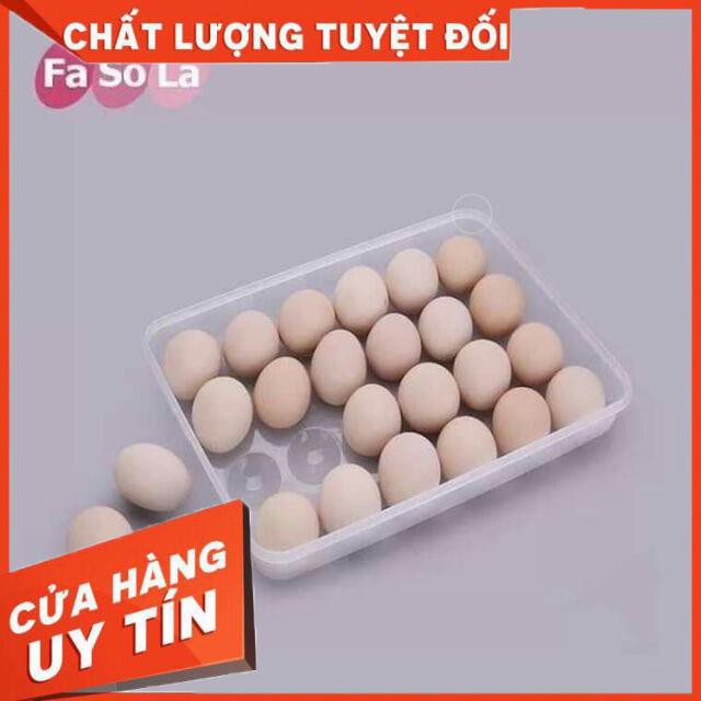 [Xả kho + free ship]  Hộp đựng trứng Song Long 24 quả