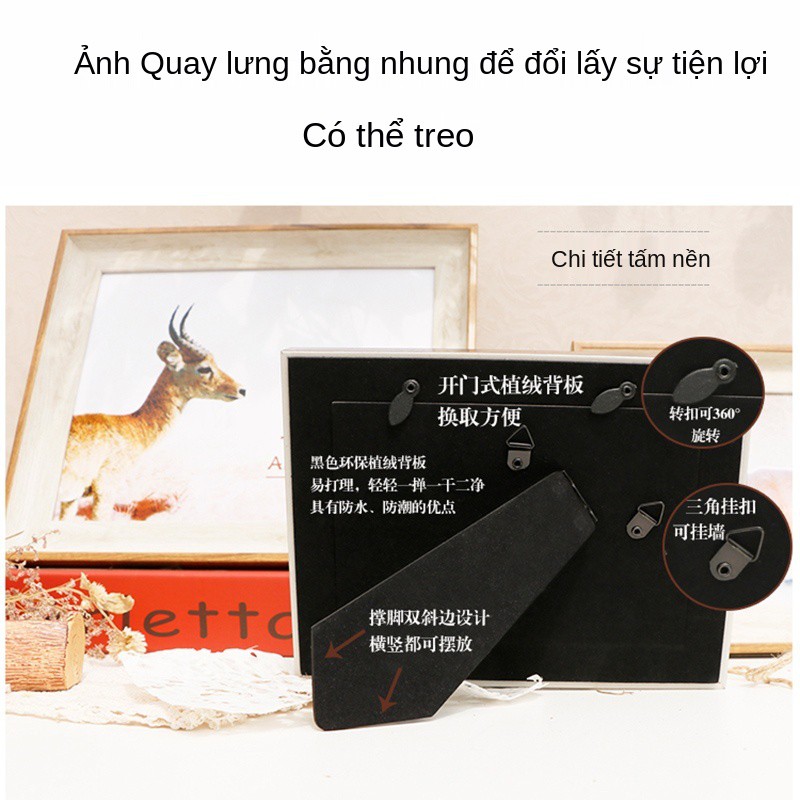 Bộ khung ảnh Châu Âu 6 inch 7 8 10 A4 sáng tạo tốt nghiệp rửa tường 12