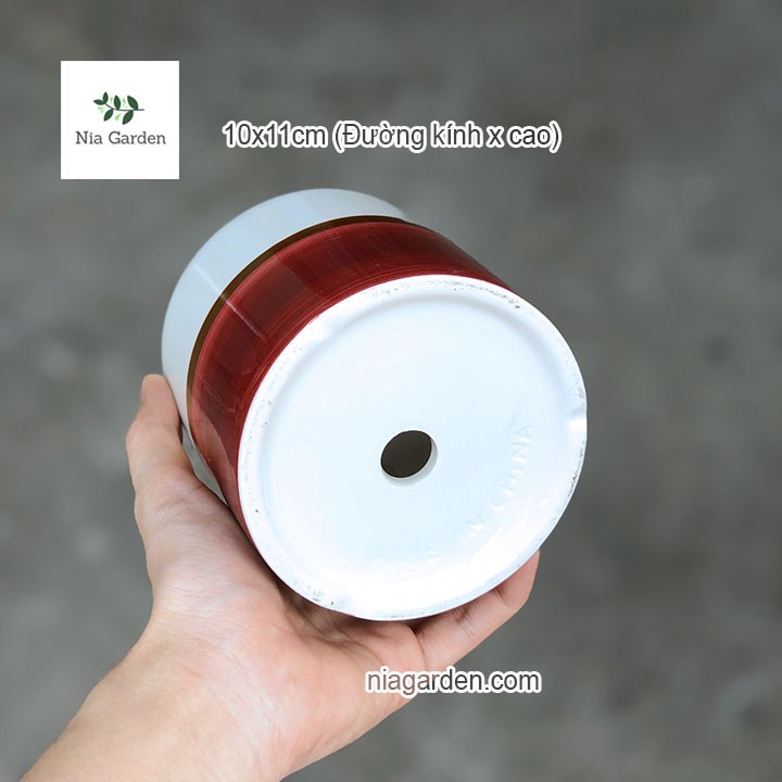 Chậu sứ trồng cây sen đá xương rồng trụ chân đỏ Nia Garden N2