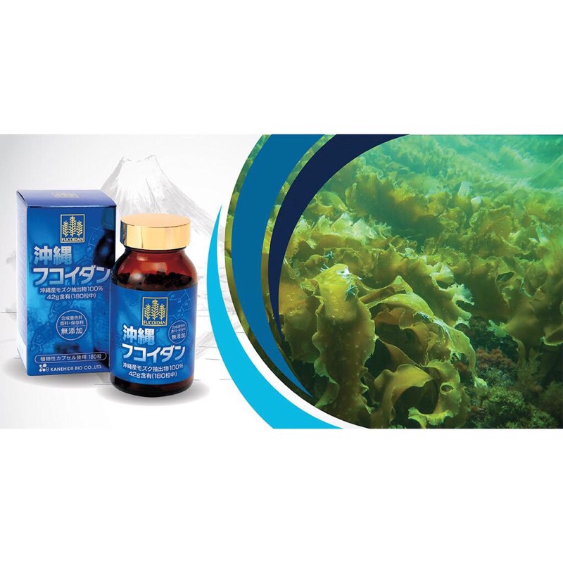 Viên Uống Fucoidan Okinawa 180 Viên Nhật Bản ( HỖ TRỢ NGƯỜI BỊ UNG THƯ ).