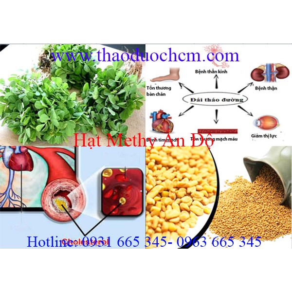 Hạt Methi Ấn Độ 1Kg - Hàng Cao Cấp