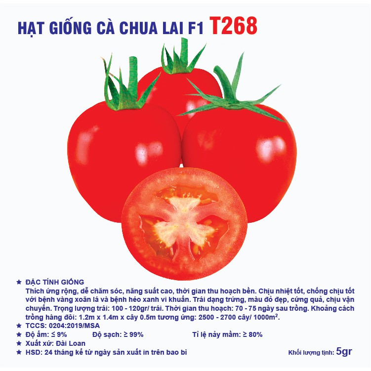 Hạt giống cà chua Lai F1 T268