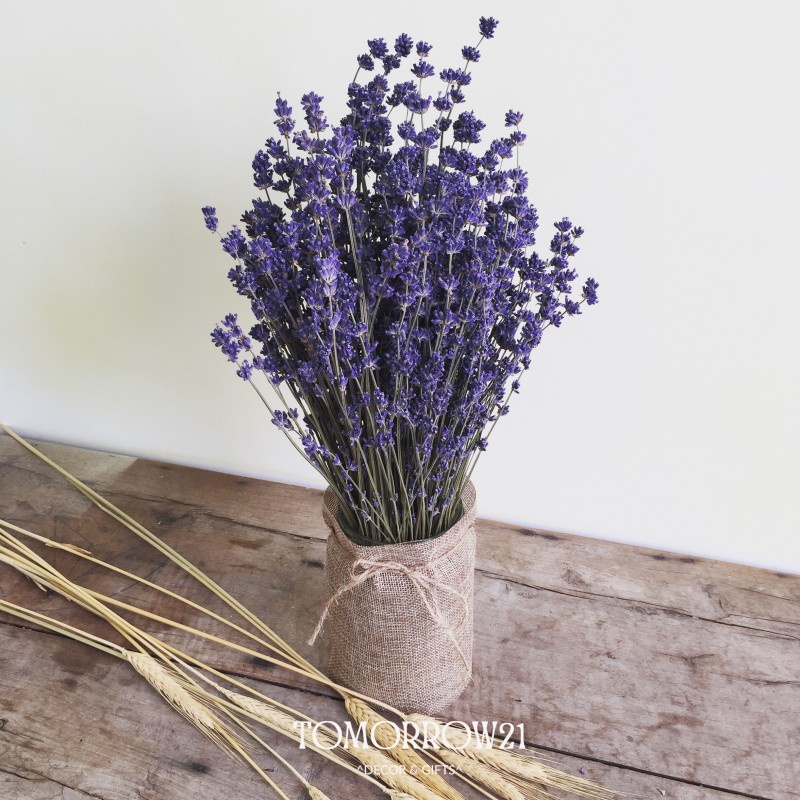 Hoa lavender hoa oải hương trang trí nhà cửa, chụp ảnh sản phẩm, quà tặng sinh nhật + TẶNG THIỆP HOA HANDMADE