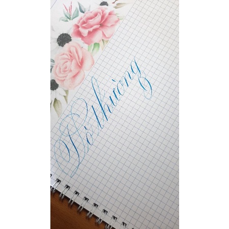 Bút kim tinh lá tre KN No5F