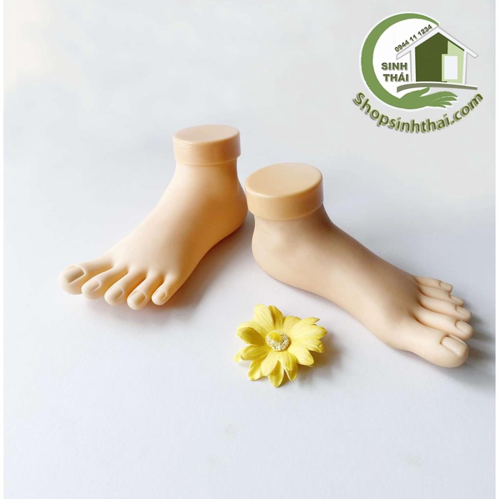Bàn chân giả bằng silicon, học làm móng, nail, sơn vẽ