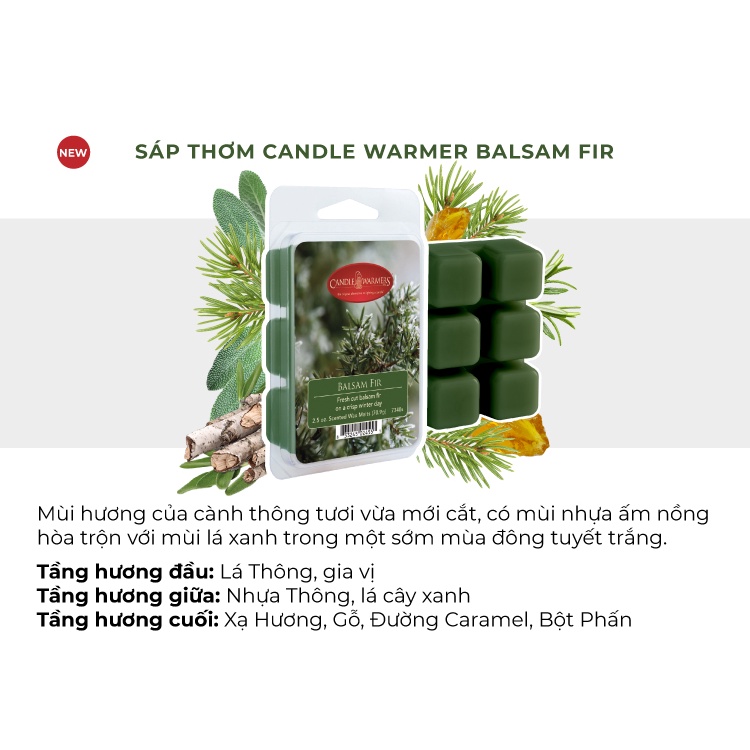 Sáp thơm Candle Warmer từ Yankee Candle - Balsam Fir