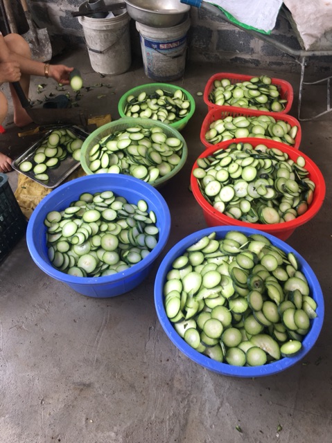 Set 10 gói trà sâm bí đao thanh nhiệt giải độc | BigBuy360 - bigbuy360.vn