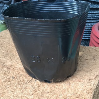 Combo 10 bầu nilon trồng cây 28x25