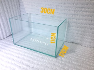 BỂ CÁ MINI CỠ 30*17*17cm