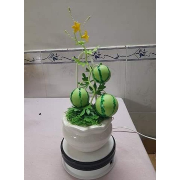 Dưa hấu sọc size trung