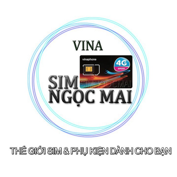 Sim 4G Vinaphone VD89P - D60G  Trọn Gói 1 Năm , Miễn Phí 4GB/NGÀY Data, nghe gọi thả ga- Sim Ngọc Mai