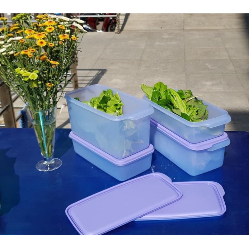 Tupperware- hộp trữ ngăn mát tím - freeship + quà tặng | BigBuy360 - bigbuy360.vn