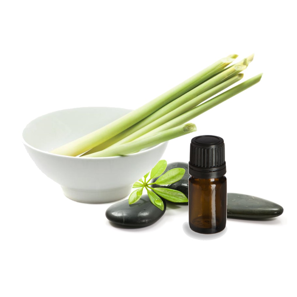 Tinh dầu Sả Java nguyên chất ( Citronella Essential Oil ) GUTY